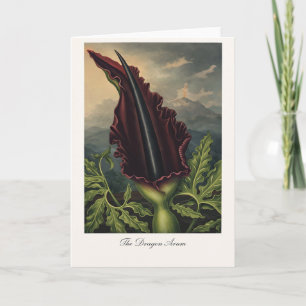 Drakarum — Modern botanisk tolkning Kort