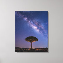 Drakblodsträd Vintergatan Canvas Uråldrig Natur