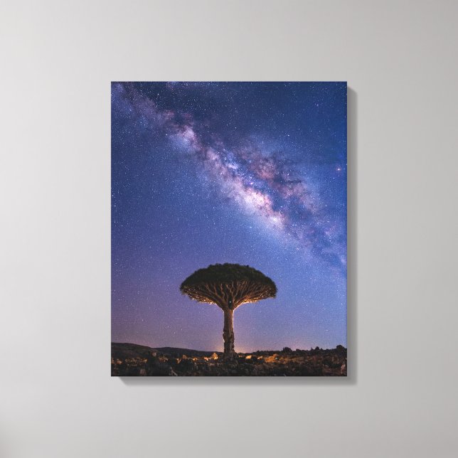 Drakblodsträd Vintergatan Canvas  Uråldrig Natur (Framsida)