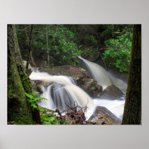 Drake Bäck Falls Poster