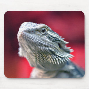 Drake Head Mousepad Musmatta