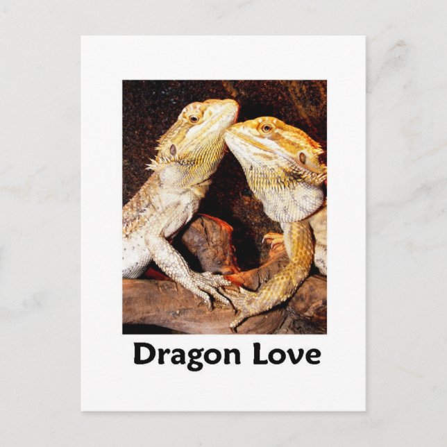 drake kärlek vykort (Framsida)
