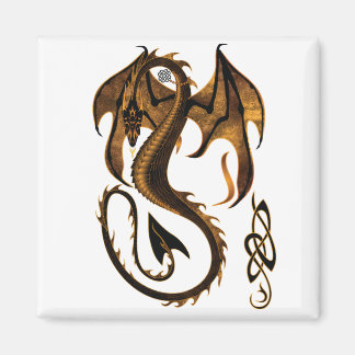 drake magnet