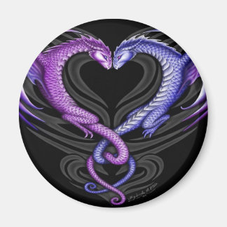 drake magnet