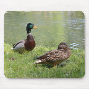 Drake och anka i vilden musmatta