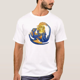 Drake och fe tröja