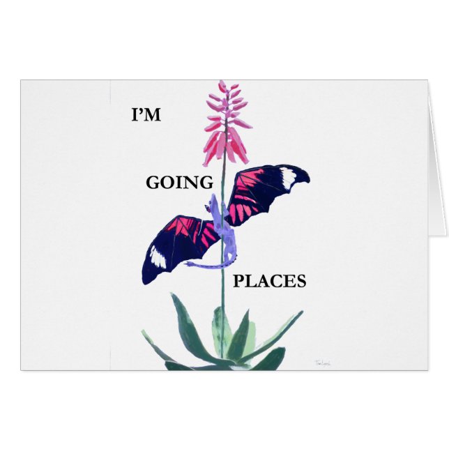 drake och kaktus hälsningskort (Framsidan Horizontal)