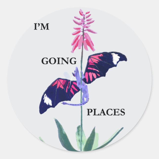 Drake och kaktus runt klistermärke (Framsida)