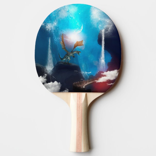 Drake Pingisracket (Baksidan)