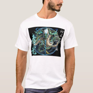 drake t-shirt