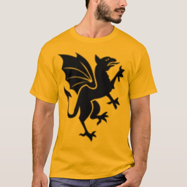Drake T Shirt (Framsida)
