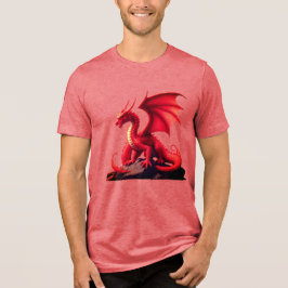 DRAKE T SHIRT
