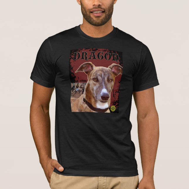 Drake T Tröja (Framsida)