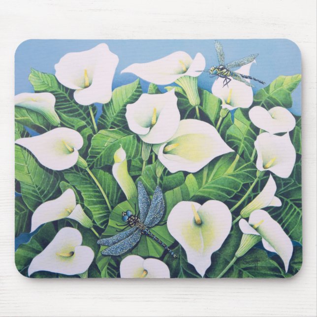 Drakeflugor Musmatta (Framsidan)