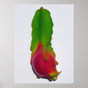 Drakefrukt Poster