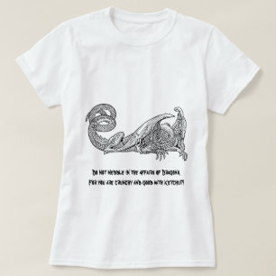 DrakeKetchup 2 T-shirt