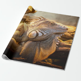 Drakeleguan Presentpapper