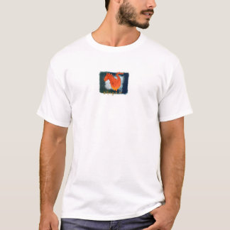 Draken - kinesen undertecknar t-shirt