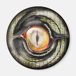 drakeöga magnet