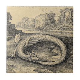 DrakeOuroboros orm Kakelplatta