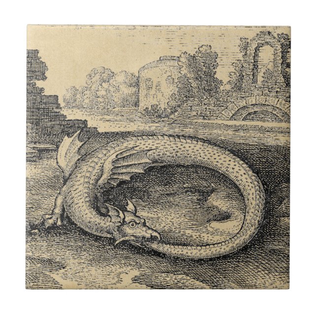 DrakeOuroboros orm Kakelplatta (Framsidan)