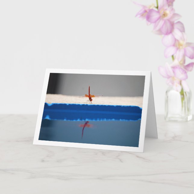 Drakflyg med orange vingar kort (Orkide)