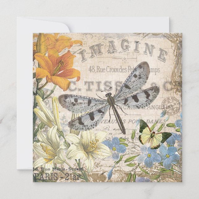 drakflygning med modern vintage fransk (Framsida)