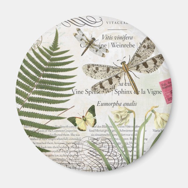 drakflygning med modern vintage fransk magnet (Framsidan)