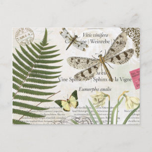 drakflygning med modern vintage fransk vykort