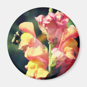 Drakhuvud och bi-blomma Fotografi Magnet
