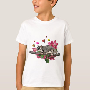 Dräkt för för sockerglidflygplanhjärtor och tee shirt