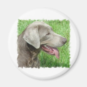 Dräkt och objekt för Labrador Retriever Magnet