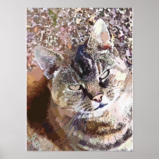 DRÄKTIG KATT POSTER (Framsidan)