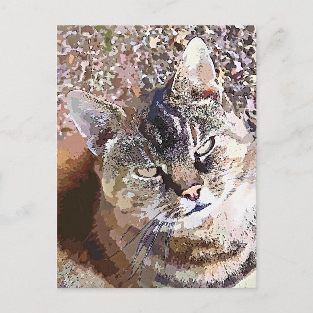 DRÄKTIG KATT VYKORT (Framsida)