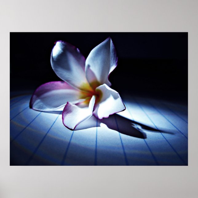 DRAMA (edt) Poster (Framsidan)