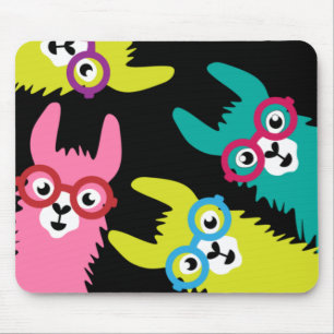 Drama Llama Colorful Camelid Musmatta