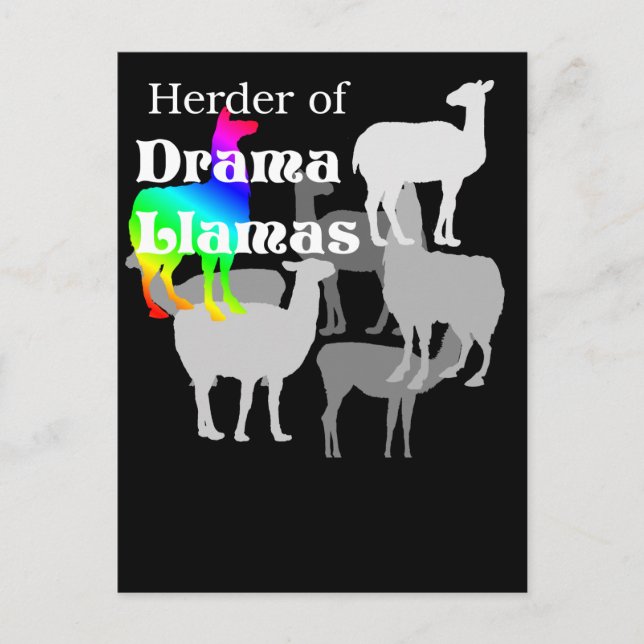 Drama Llama Herder vycard Vykort (Framsida)