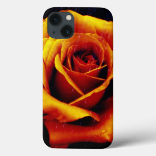 Drama Of The Orange Rose iPad-fodral