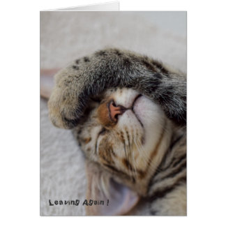 Dramakattunge måste du att gå hälsningskort