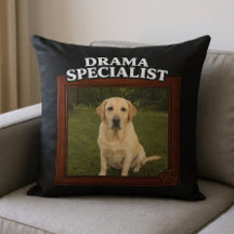 Dramaspecialist Rolig Hund Foto