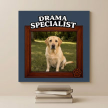 Dramaspecialist Rolig Hund Foto