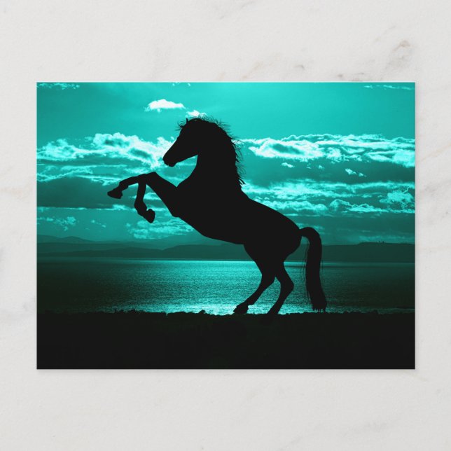 Dramatic Black Horse Teal Sky Peaceful Postcard Vykort (Framsida)