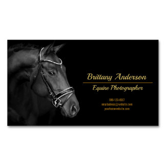 Dramatic Black White Guld Horse Photograf Magnetiska Visitkort