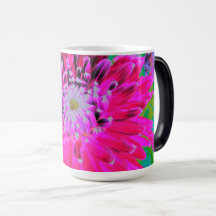 Dramatic Crimson Red and Rosa Dahlia Flower