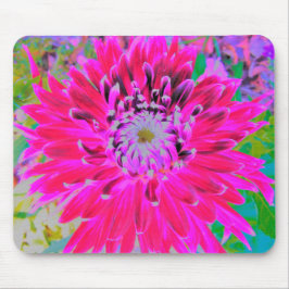 Dramatic Crimson Red and Rosa Dahlia Flower Musmatta