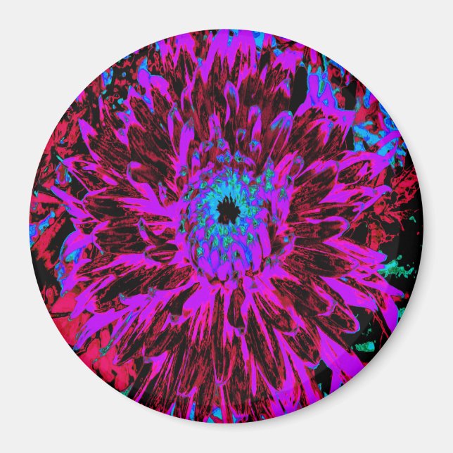 Dramatic Crimson Red, Lila and Black Dahlia Magnet (Framsidan)