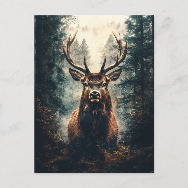 Dramatic Elk i Skogen Vykort (Framsida)