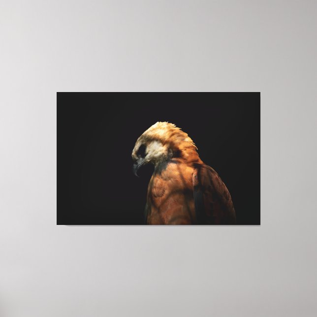Dramatic Low Key Portrait of a Majestic Hawk Canvastryck (Framsida)