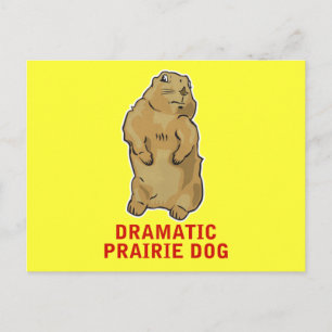 Dramatic Prairie Hund Vykort