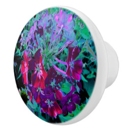 Dramatic Red, Lila and Rosa Garden Flower Knopp